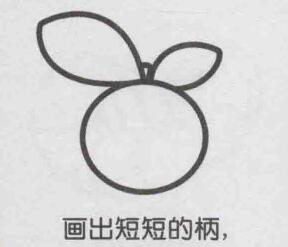 橙子簡筆畫畫法步驟04