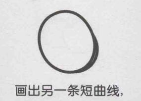 獼猴桃簡筆畫畫法步驟02