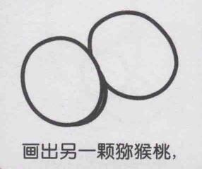 獼猴桃簡筆畫畫法步驟03