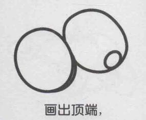 獼猴桃簡筆畫畫法步驟04