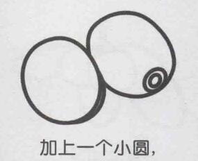 獼猴桃簡筆畫畫法步驟05