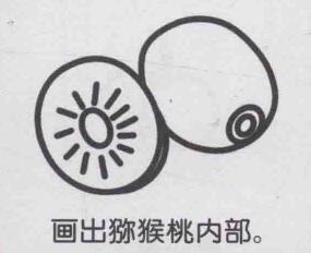 獼猴桃簡筆畫畫法步驟06