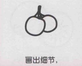 楊梅簡筆畫畫法步驟04