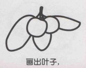 楊梅簡筆畫畫法步驟05