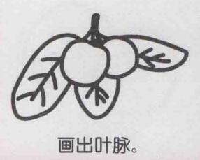 楊梅簡筆畫畫法步驟06