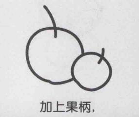 杏子簡筆畫畫法步驟03