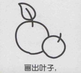 杏子簡筆畫畫法步驟04