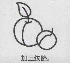 杏子簡筆畫畫法步驟05