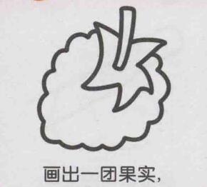 桑葚簡筆畫畫法步驟03