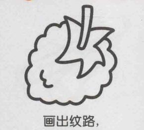 桑葚簡筆畫畫法步驟04