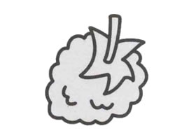 桑葚簡筆畫