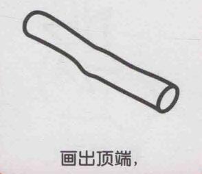 甘蔗簡筆畫畫法步驟02