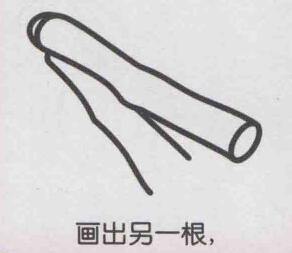 甘蔗簡筆畫畫法步驟04