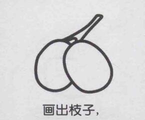 紅棗簡筆畫畫法步驟03