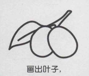 紅棗簡筆畫畫法步驟04
