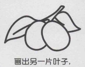 紅棗簡筆畫畫法步驟05