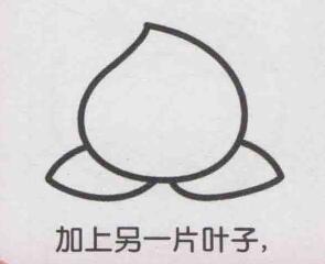 桃子簡筆畫畫法步驟04