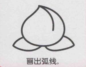 桃子簡筆畫畫法步驟05