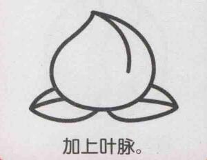 桃子簡筆畫畫法步驟05