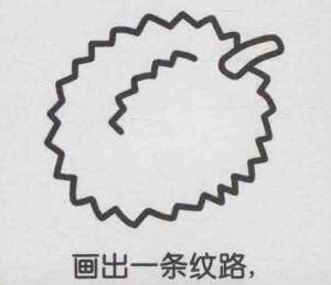榴蓮簡(jiǎn)筆畫畫法步驟04
