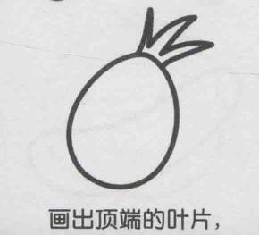 火龍果簡筆畫畫法步驟02