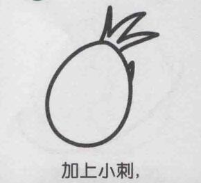 火龍果簡筆畫畫法步驟03
