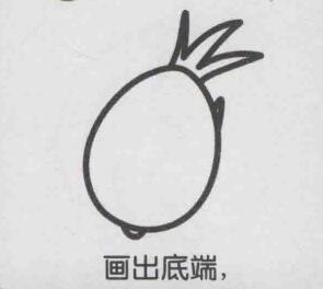 火龍果簡筆畫畫法步驟04
