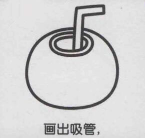 椰子簡筆畫畫法步驟04