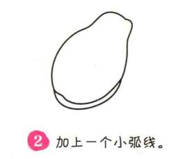 木瓜簡筆畫畫法步驟02