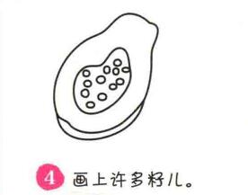 木瓜簡筆畫畫法步驟04