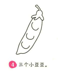 豆角簡筆畫畫法步驟04