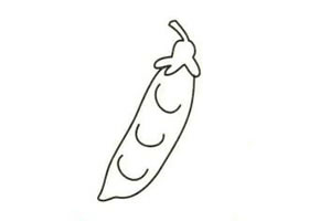 豆角簡(jiǎn)筆畫