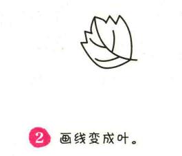 冬瓜簡筆畫畫法步驟02