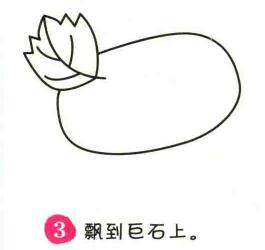 冬瓜簡筆畫畫法步驟03