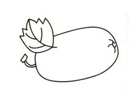 冬瓜簡筆畫