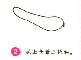黃瓜簡筆畫畫法步驟02