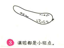 黃瓜簡筆畫畫法步驟03