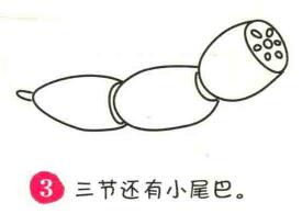 蓮藕簡(jiǎn)筆畫畫法步驟03