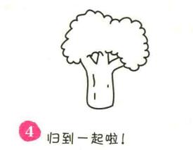 菜花簡筆畫畫法步驟04