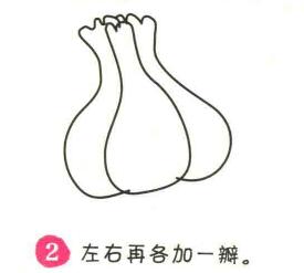 大蒜簡筆畫畫法步驟02
