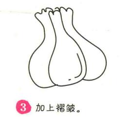 大蒜簡筆畫畫法步驟03