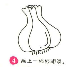大蒜簡筆畫畫法步驟04