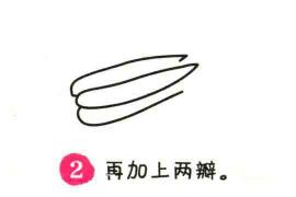 白菜簡(jiǎn)筆畫畫法步驟02