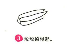 白菜簡(jiǎn)筆畫畫法步驟03