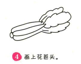 白菜簡(jiǎn)筆畫畫法步驟04