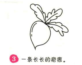蘿卜簡(jiǎn)筆畫(huà)畫(huà)法步驟03