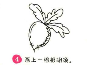 蘿卜簡(jiǎn)筆畫(huà)畫(huà)法步驟04
