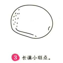土豆簡(jiǎn)筆畫畫法步驟03