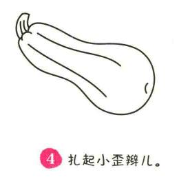 西葫蘆簡筆畫畫法步驟04