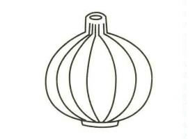 洋蔥簡(jiǎn)筆畫(huà)